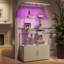Display Cabinet-1031416564