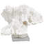 Sculpture décorative en corail blanc texturé avec base en acrylique transparent