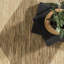 Tapis intérieur / extérieur Cape Trellis-1757705970