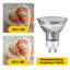 4W GU10 Spotlight Light Bulb