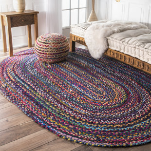 Waterford Handmade Braided Cotton Area Rug In Multicolor