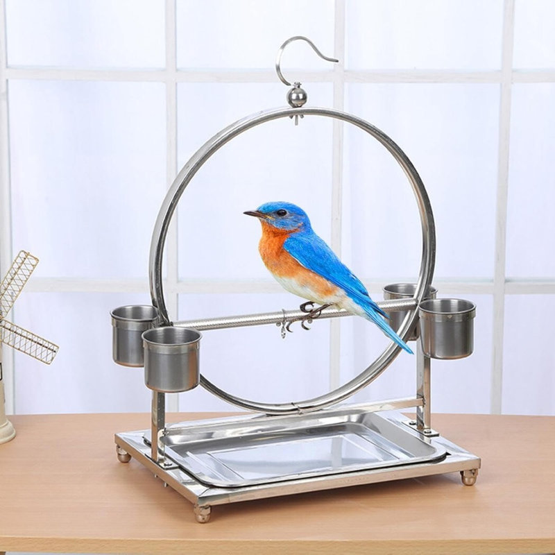 Perchoir de bureau Bird