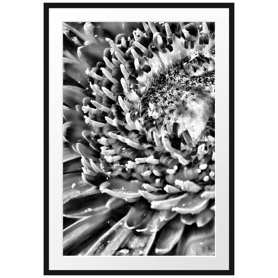 Gerahmtes Poster Gerbera Gras Blumen