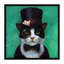 « tuxedo cat » par lucie heffernan-reproduction de photo-49902393-53128217
