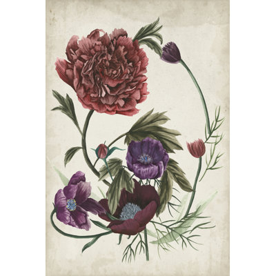 Antique Peony I - Painting