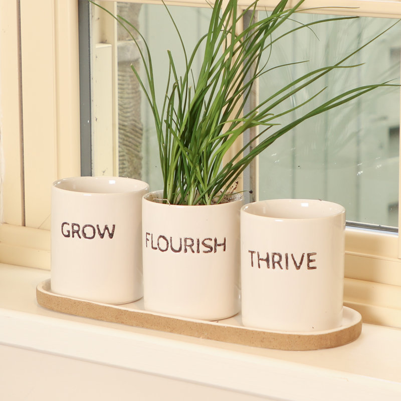 Driscoll Ceramic Pot Planter