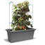 Self-Watering Planter, Flower Pot - Living Wall Kit-2062431679-2062431648