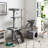 Longshot® 53.54'' H Cat Tree