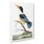 Blue Kingfisher by George Shaw - Wrapped Canvas-55304102