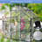 6x6ft Polycarbonate Greenhouse - Black, For Outdoor Gardening All Season Adjustable Roof, Sliding Door, Galvanized Base Heavy Duty Black Backyard Planting Hobby-117455849