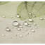 Rideau de douche Pegram X-Ray of Eucalyptus-99365864