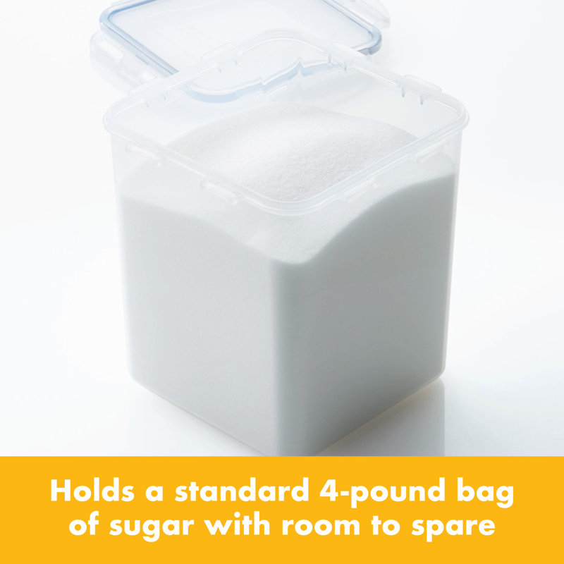 Easy Essentials™ Food Storage Container