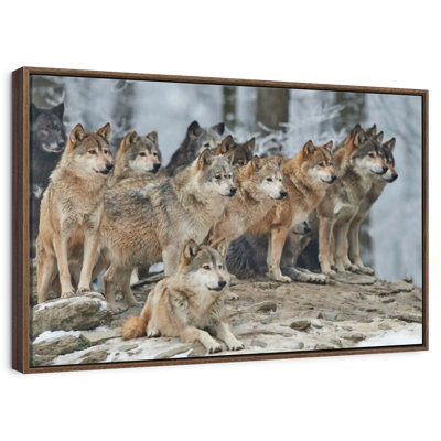Wild Wolf Pack