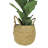 20" Artificial Fiddle Leaf Fig Tree in Basket