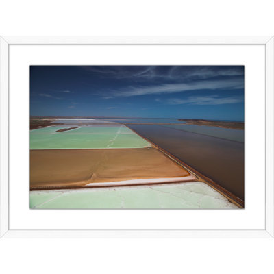 Salted Overlaying 2 Print by Thom Filicia