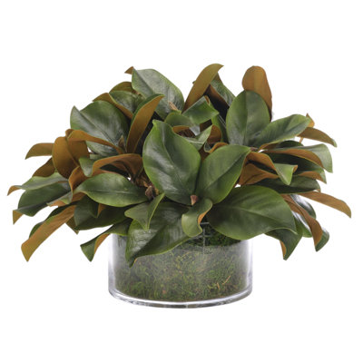 Magnolia Foliage, Moss Glass Bowl, 21wx19dx14h
