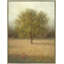 Landscape & Nature-48716295-48716293