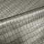 Crocodile Philipp Plein