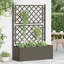 VidaXL Jardinière en treillis surélevé à motif de rotin-61768048-61686726