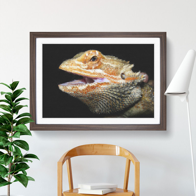 Bearded Dragon Lizard - Picture Frame Photograph, 48cm H x 65cm W x 2cm D, Walnut Framed