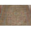 Traditional   Area Rug 10x13
