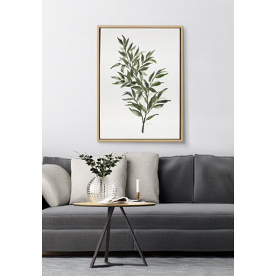 «Ruscus» par Patricia Shaw, reproduction d'art sur toile encadrée
