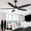 Ventilateur de plafond noir d'intérieur moderne de 60 pouces avec lumières et télécommande, ventilateur de plafond à moteur à courant continu 6 vitesses Farmhouse