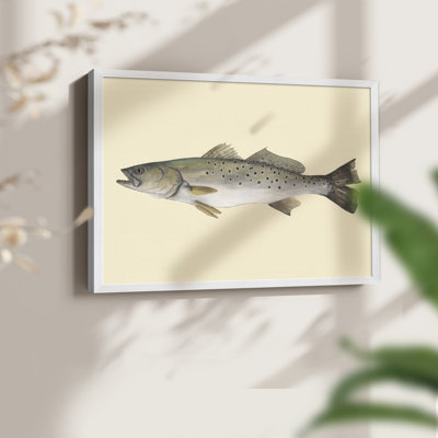 Saltwater Species II -Framed Print - Restickable