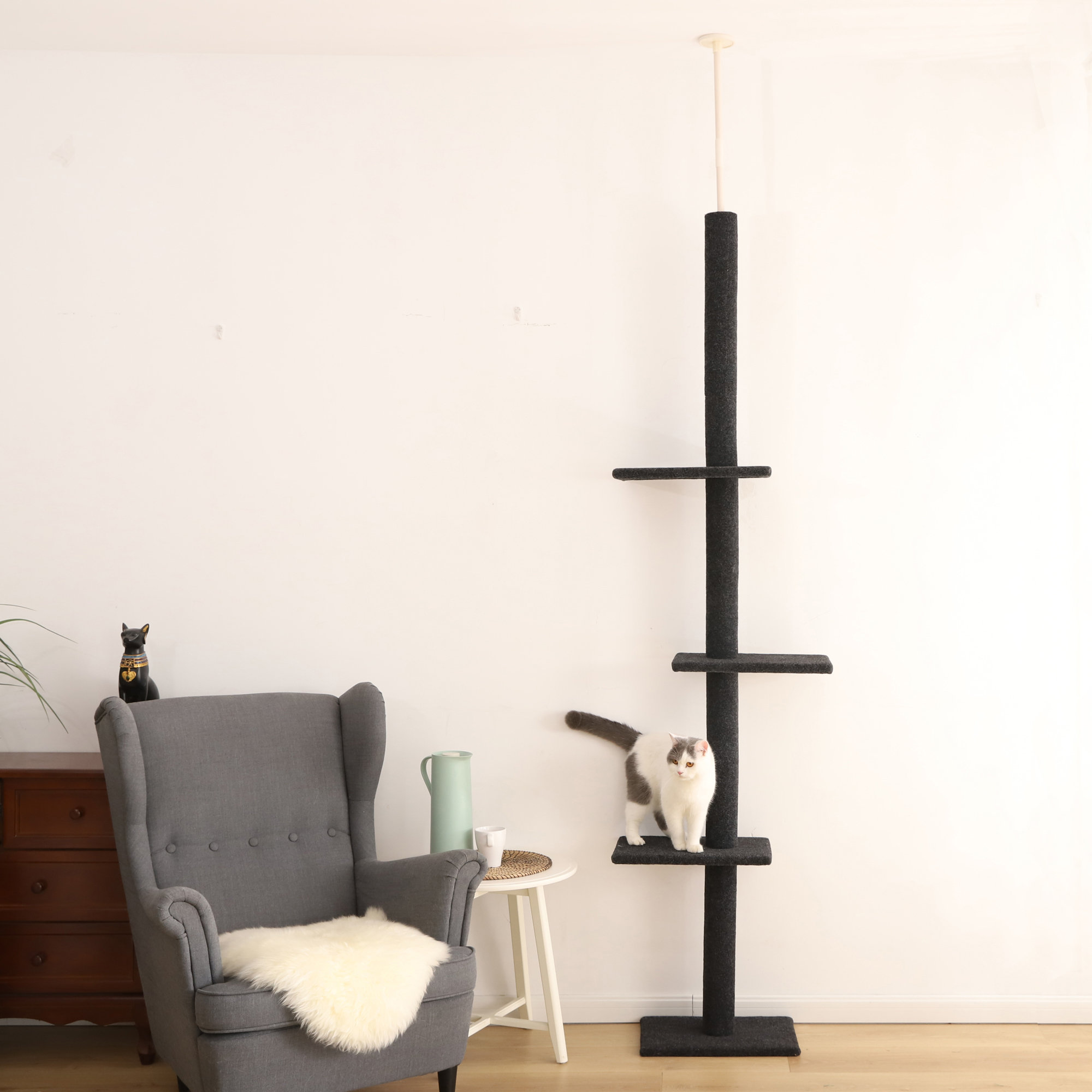 Archie & Oscar™ Asher Cat Tree & Reviews Wayfair