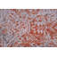 Ziegler One-of-a-Kind 7'11" X 10'2" Area Rug