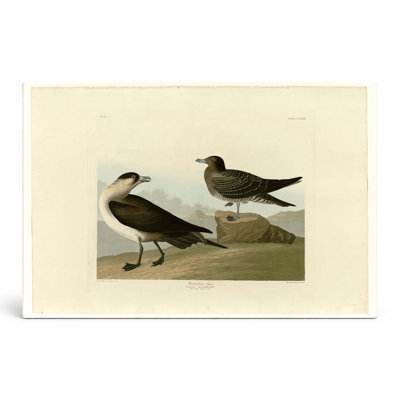 Jager de Richardson (planche 272) - Paysage, art mural sur toile