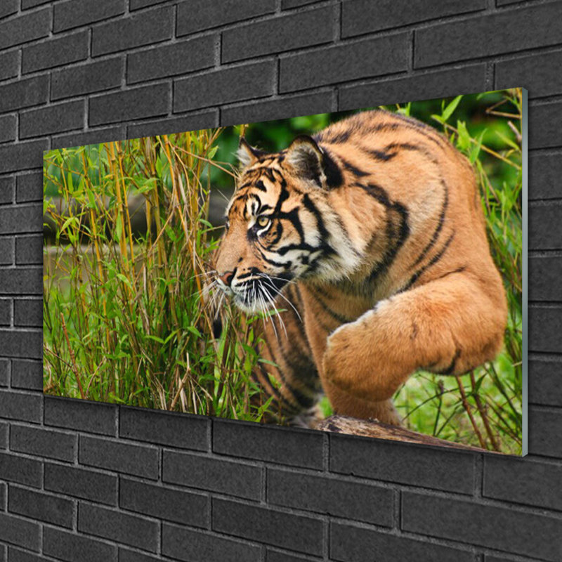 Animals Tiger - No Frame Print on Glass
