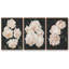 «Nighttime Flora I», ensemble de 3 toiles encadrées-97709121-97709127