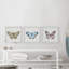 «Colorful Butterflies», ensemble de 3 reproductions d'art sur papier encadrées-1263504612