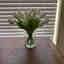 Photos des clients 1 de 1