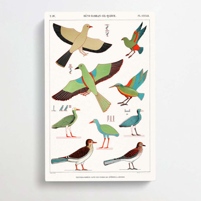 Bird Illustrations by J.F. Champollion - Wrapped Canvas