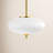 1-Light Dimmable LED Chandelier