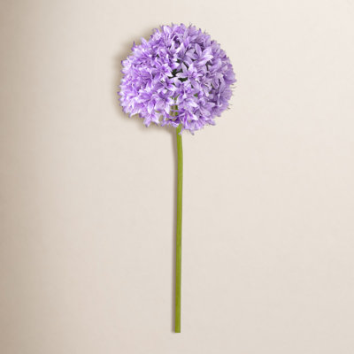 Lush Allium Floral Stems