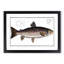 Brown Trout Fish by M.E. Bloch - Picture Frame Art Print-55681116-55681112