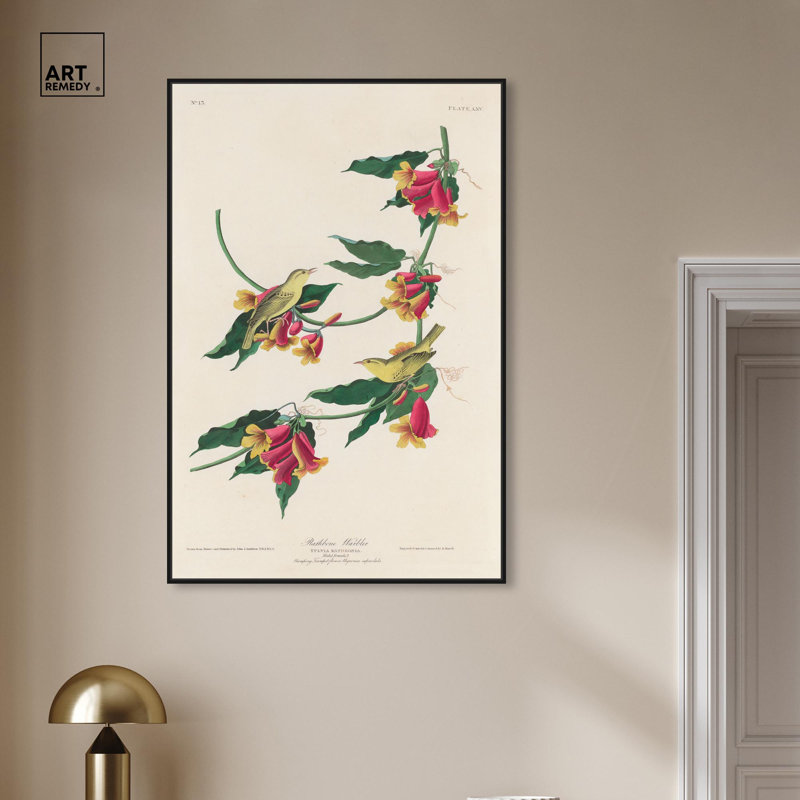 Art Remedy, reproduction d'art sur toile, fauvette de Rathbone, 1829, H 46 po x l 31 po, Cadre flottant noir