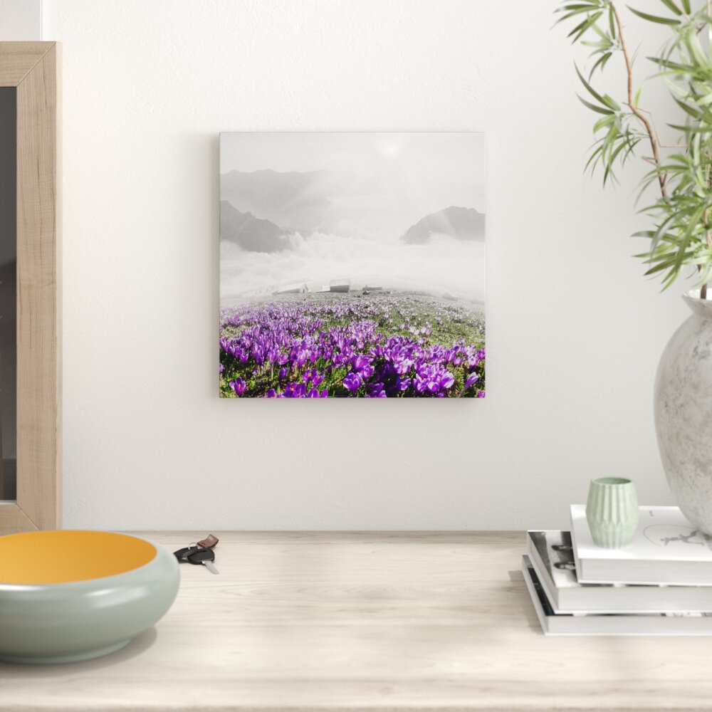 Leinwandbild Blühende lilane Krokusse mit Aussicht auf die Berge