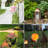 Emersyn Metal Garden Accents Accessories