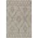 Hongming Southwestern Indoor / Outdoor Rug