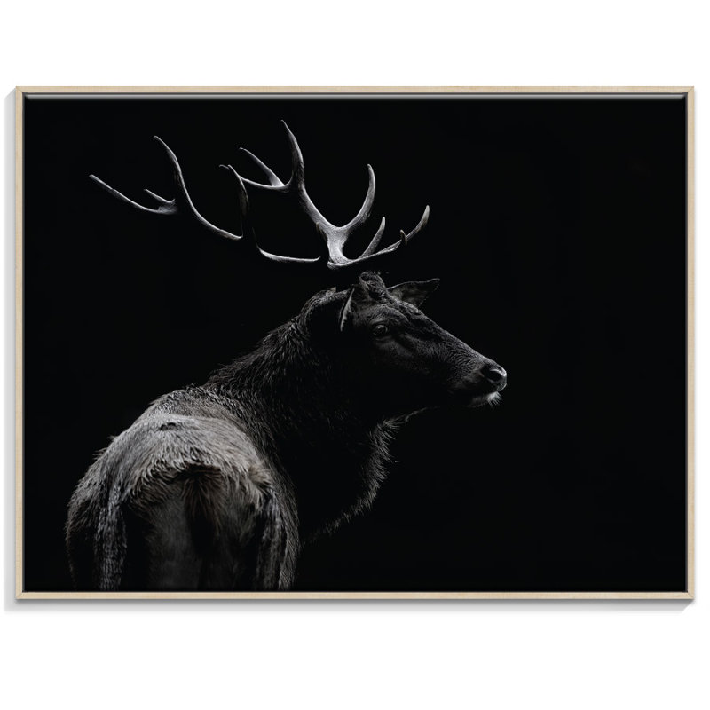 Print on Canvas, 41cm H x 51cm W, Timber Floater Frame