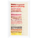 Swatch Rose Print by Susan Hable