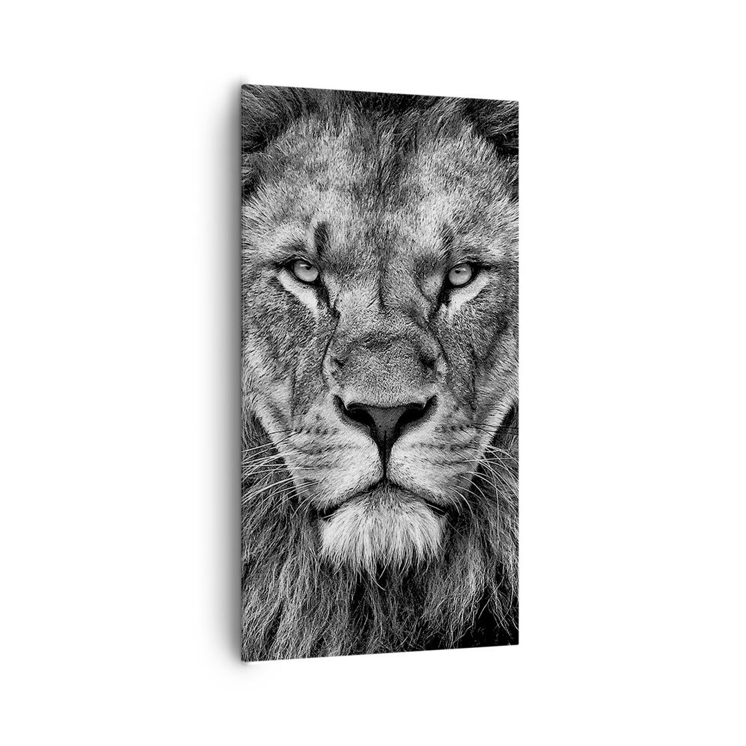 Leinwandbild Portrait Lion Black and White