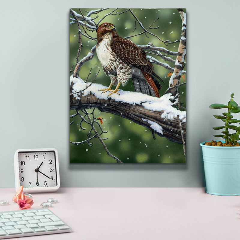 «Red Tailed Hawk» par William Vanderdasson, H 16 po x l 12 po x P 0,75 po