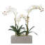 Real Touch Cream White Phalenophsis Orchids With Geodes & White Pebbles Flower Arrangement In Silver Rectangle Planter