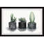 «Cacti Madness», reproduction encadrée-399957608
