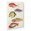 East Indies Fish Illustrations Fol. 21 by Louis Renard - Wrapped Canvas-55342663